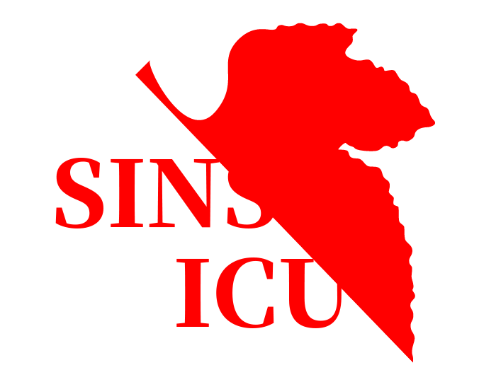 sins-icu